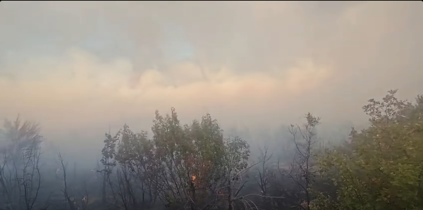 Više požara u Dalmaciji: Dignuta četiri Canadaira i dva Air Tractora