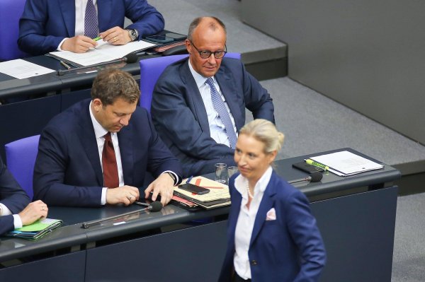 Friedrich Merz, Alice Weidel
