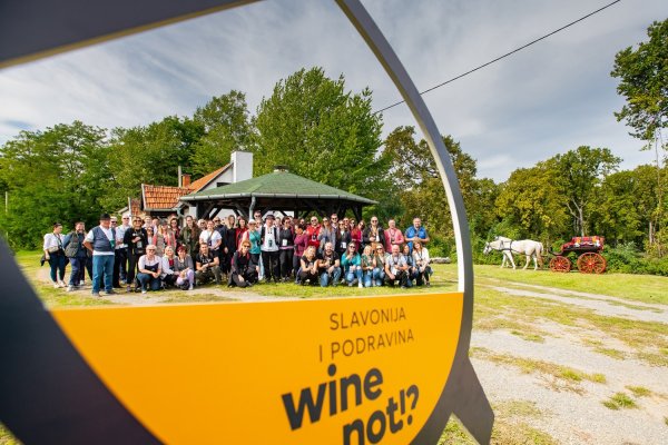 tportal