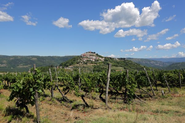 Motovun
