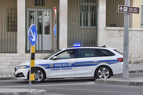 Izgledaju gotovo isto, ali jedan dio policijskog automobila potpuno je drukčiji od vašeg: Postoji dobar razlog