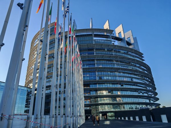 Europski parlament u Strasbourgu: Pribilič ističe da slovenskim i hrvatskim vladama treba europski pritisak za poštivanje pravila