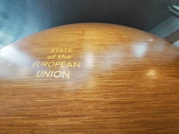 Plenarna rasprava o stanju Unije u Europskom parlamentu u Strasbourgu - hrvatski eurozastupnici uspjeli su pogurati temu o Ratku Mladiću