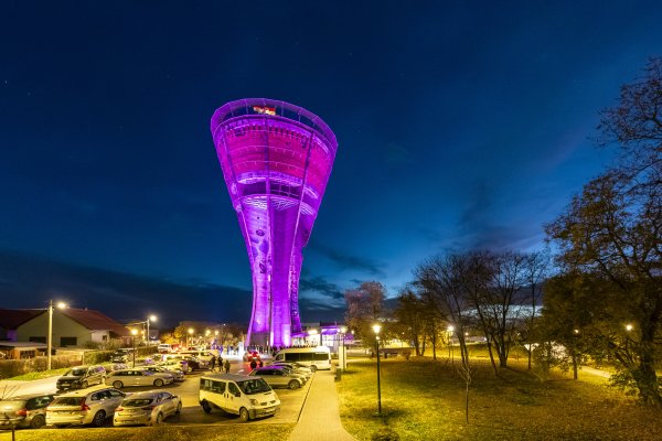 Vukovar dobiva svoju kovanicu eura