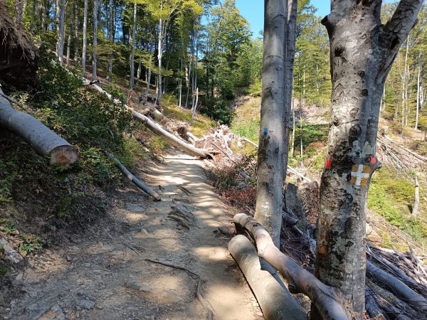 Planirate na Sljeme? Jedna od najpopularnijih staza je zatvorena, evo što se događa