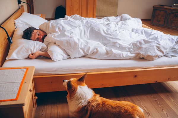 Kada pas ima svoj kutak tik uz vaš krevet, oboje dobivate neometan noćni odmor