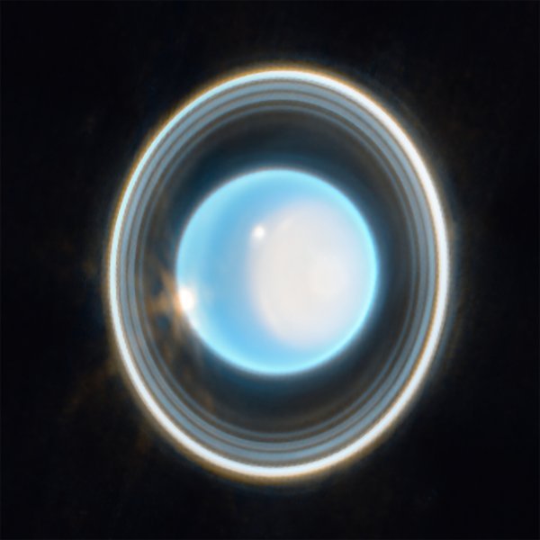 tportal