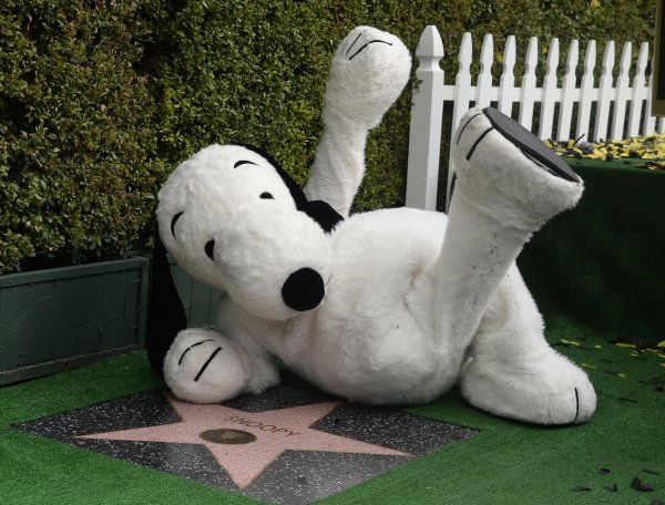 Snoopy je svoju zvijezdu na Hollywood Walk of Fameu dobio 2. studenoga 2015.
