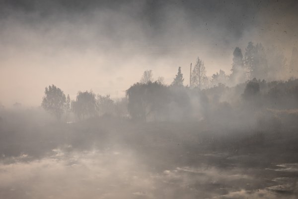 Požar u naselju Vid blizu Metkovića
