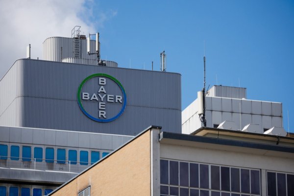 Bayer