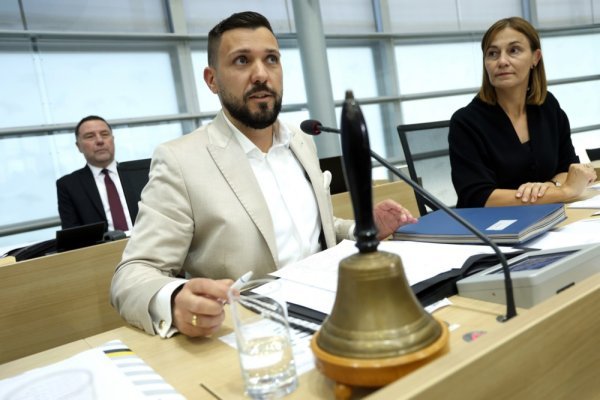 Tobias Rausch, AFD