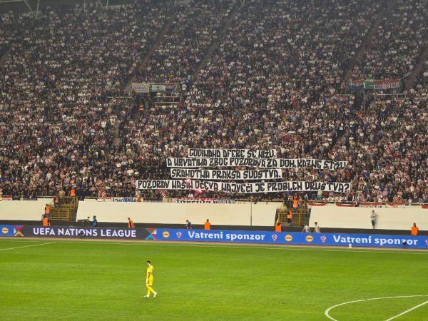 Navijači o pozdravu ZDS