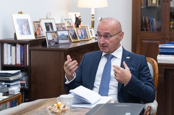 Gordan Grlić Radman