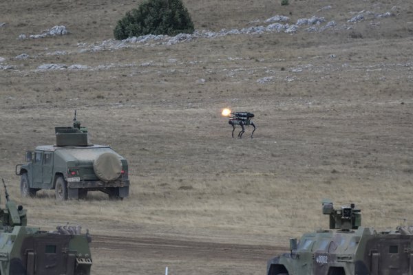 Robotizirani psi tijekom vježbe