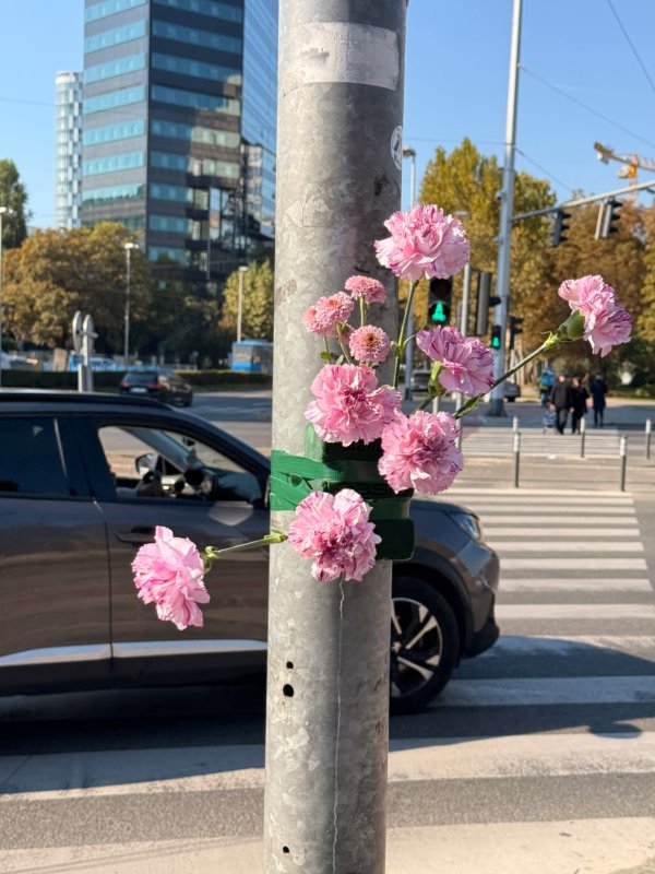 Cvjetna instalacija na pješačkom prijelazu u trenu je postala najfotografiraniji detalj u gradu