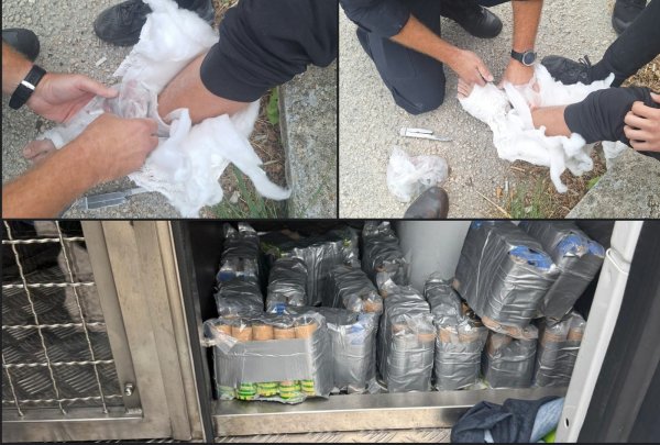 FOTO Policija pokazala što je pronašla kod navijača u Splitu: Pogledajte gdje su skrivali pirotehniku