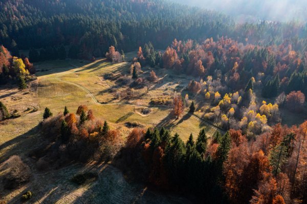 Gorski kotar u raskošnim jesenskim bojama - online ulaznica za NP Risnjak sada se može nabaviti za 8 eura