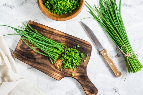Iako izgledom podsjeća na travu, vlasac je jedan od najcjenjenijih začina europske gastronomije