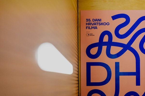 35. DHF