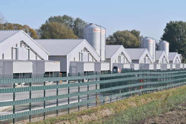 Performans ispred megafarme Veliki Pažut