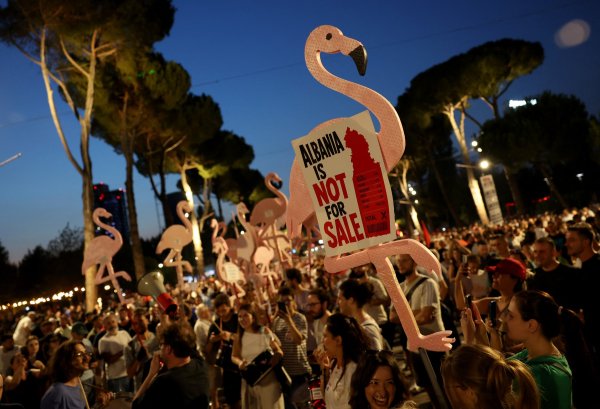 Sve je krenulo s Flamingo revolucijom