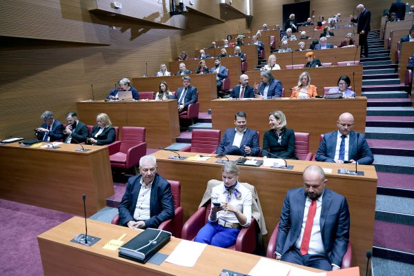 Domovinski pokret zadovoljan Vladom, ali traži novac