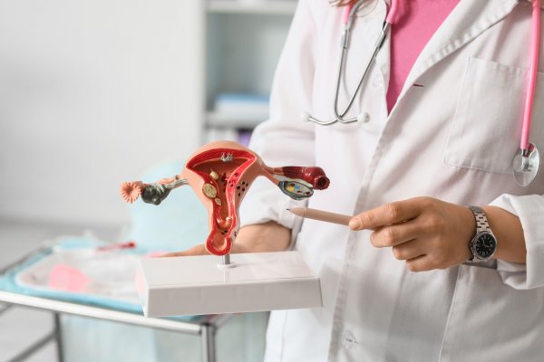 Jajnici nakon menopauze nisu neaktivni, a njihovo starenje nosi skrivene rizike