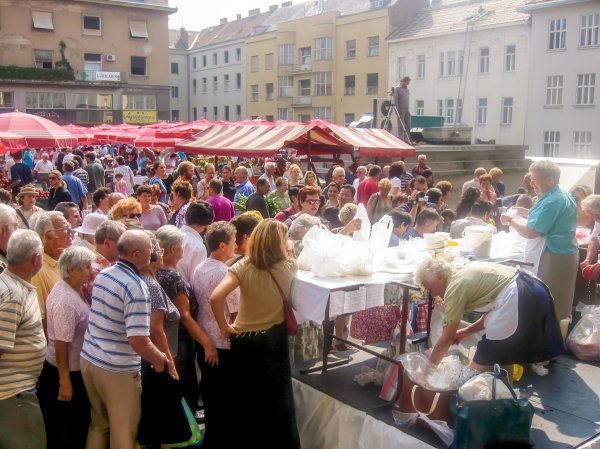 Akcija dijeljenja sira i vrhnja na Dolcu