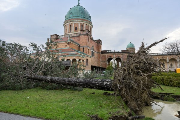 Sjećate se oluje iz ožujka? Evo kada će biti sanirano groblje na Mirogoju