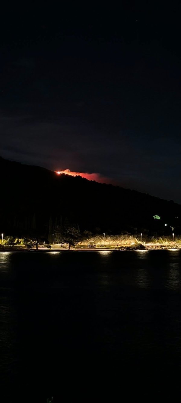 Sve je na kraju dobro završilo: Vatrogasci obuzdali požar kod Dubrovnika