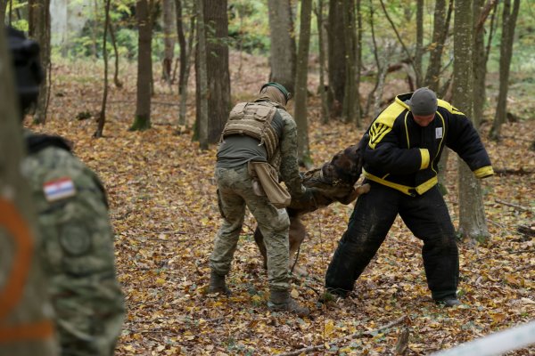 FOTO NATO se okupio u Dugom Selu: Izveli su jednu od vježbi kojom spašavaju živote