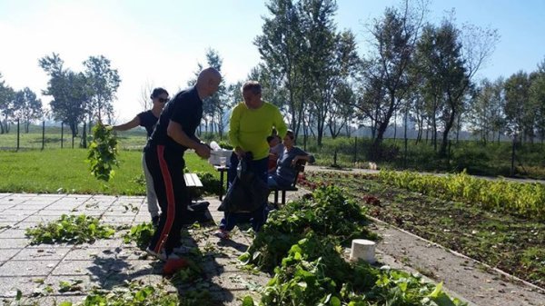 Bandić u vrtu na Savici