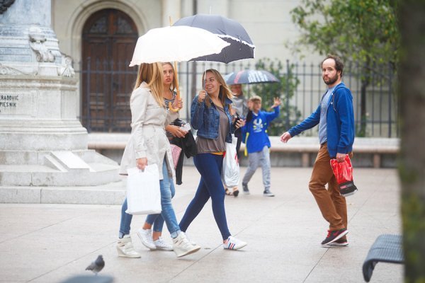 Zagrebačka špica (01)