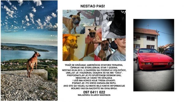 Oglas: Nestao pas tportal.hr