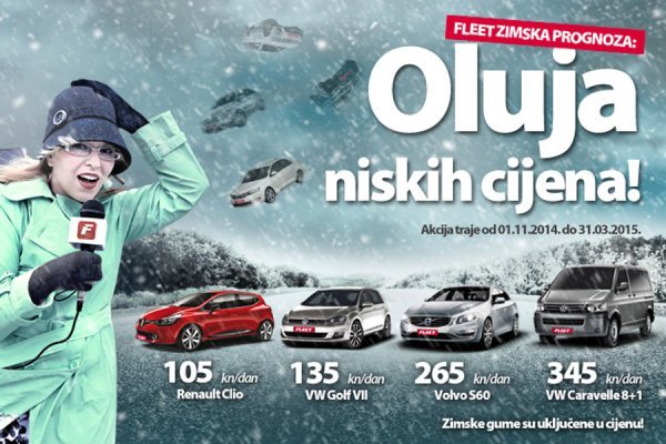 fleet rent a car