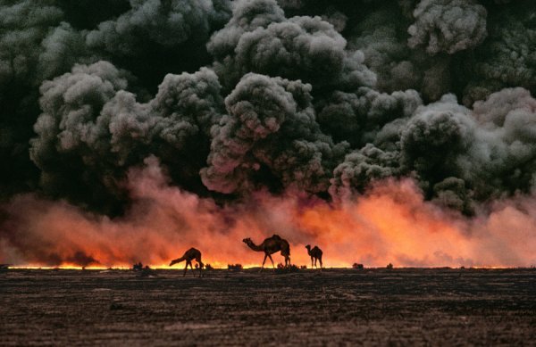 Umjetnička galerija/ Steve McCurry