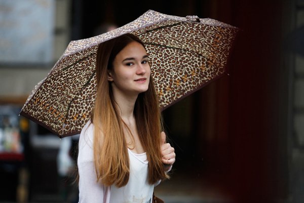 Zagrebačka špica (01)