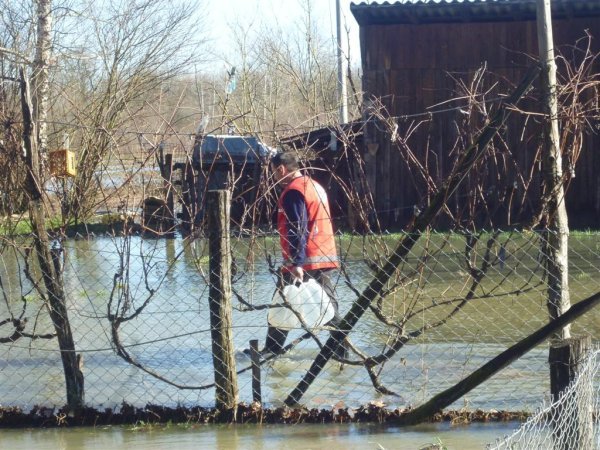 Crveni križ u akciji (1)