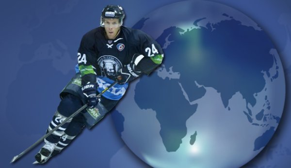 Medvjedi putuju po Rusiji