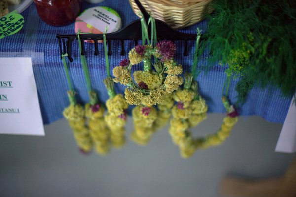 Foto: Sanjin Kaštelan