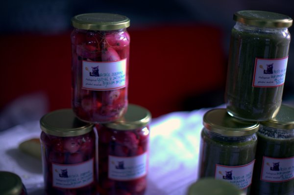 Foto: Sanjin Kaštelan