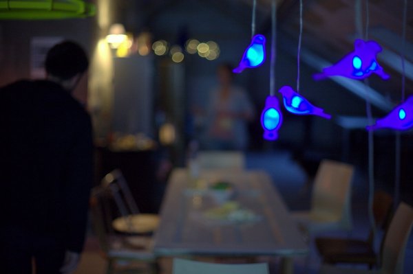 Foto: Sanjin Kaštelan