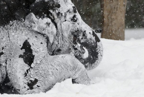 Reuters