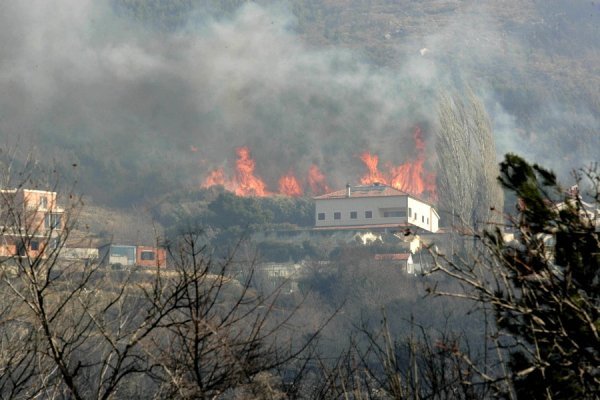 Jakov Prkić/CROPIX