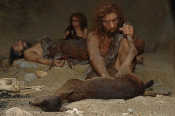 Muzej krapinskih neandertalaca 