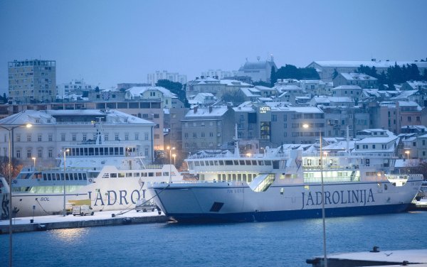 Vojko Bašić, Vladimir Dugandžić, Zvonimir Barišin, Tom Dubravec / CROPIX