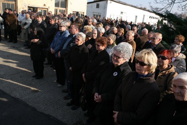 Damir Glibušić/CROPIX