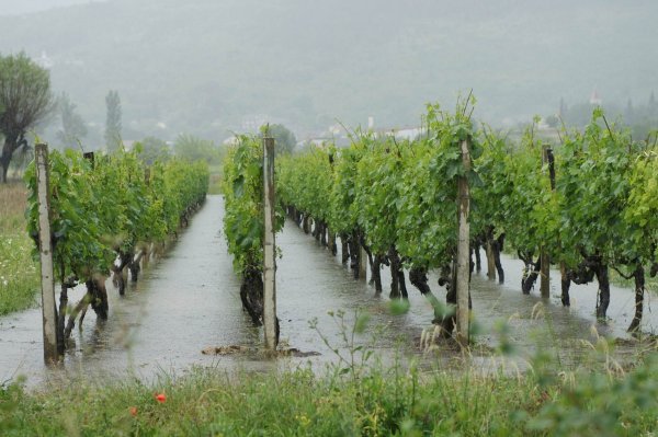 Braco Ćosić / EPEHA / CROPIX  