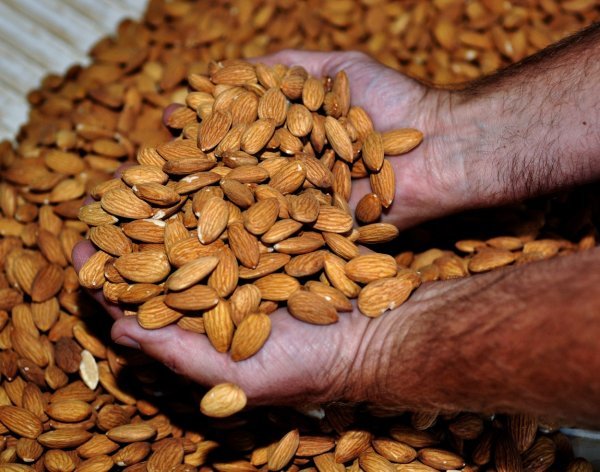 U Kaliforniji se proizvede proizvode najviše badema i pistacija na svijetu  
