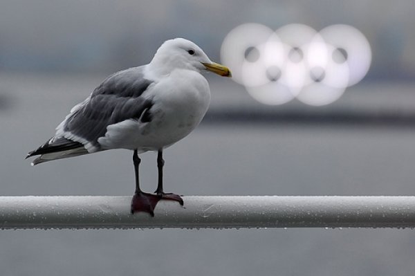 Gulliver/Getty Images